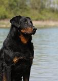 BEAUCERON 648